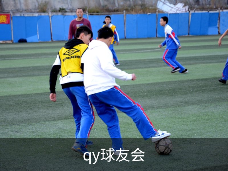 关于qy球友会